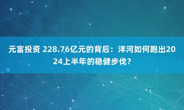 元富投资 228.76亿元的背后：洋河如何跑出2024上半年的稳健步伐？