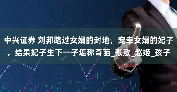 中兴证券 刘邦路过女婿的封地，宠幸女婿的妃子，结果妃子生下一子堪称奇葩_张敖_赵姬_孩子