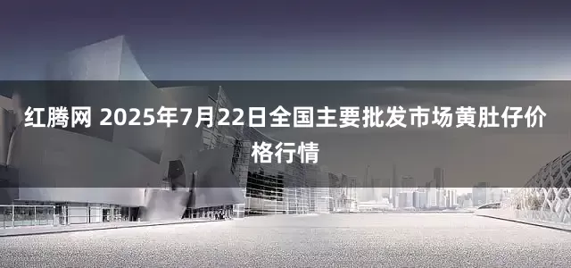 红腾网 2025年7月22日全国主要批发市场黄肚仔价格行情
