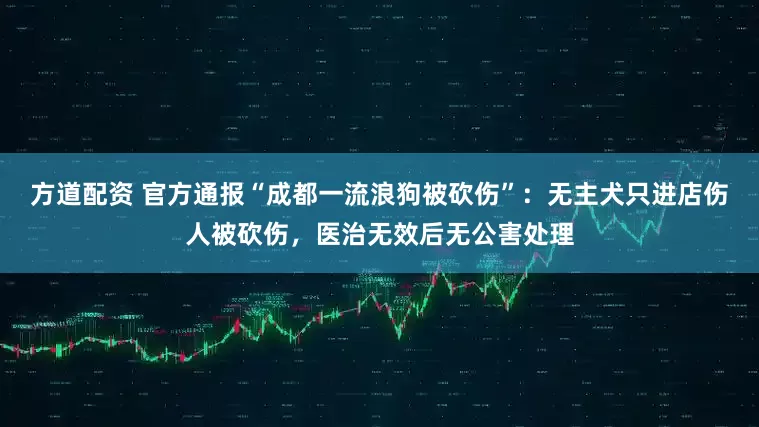 方道配资 官方通报“成都一流浪狗被砍伤”：无主犬只进店伤人被砍伤，医治无效后无公害处理